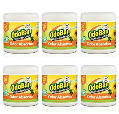 OdoBan Solid Odor Absorber Eliminator for Home and Small Spaces, Citrus Scent, 14 Ounces Each, 6-Pack