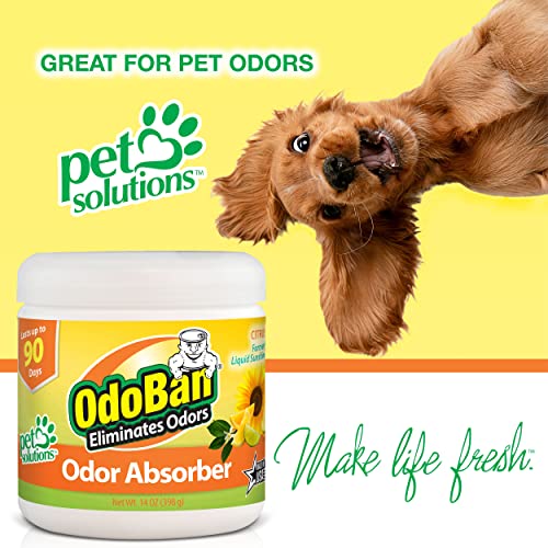 OdoBan Solid Odor Absorber Eliminator for Home and Small Spaces, Citrus Scent, 14 Ounces Each, 6-Pack