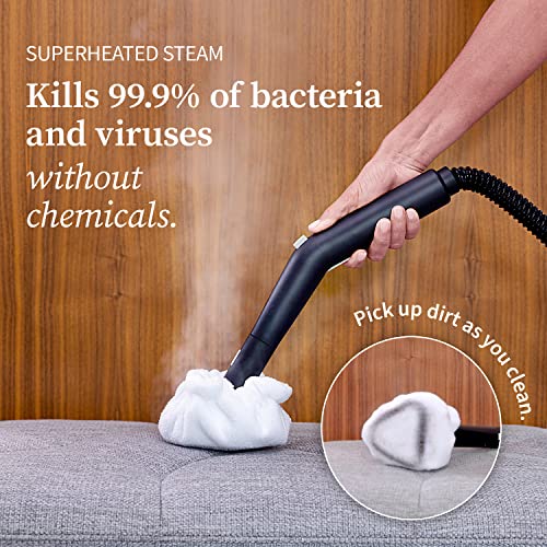 Dupray Neat Steam Cleaner: Powerful Multipurpose Portable Steamer