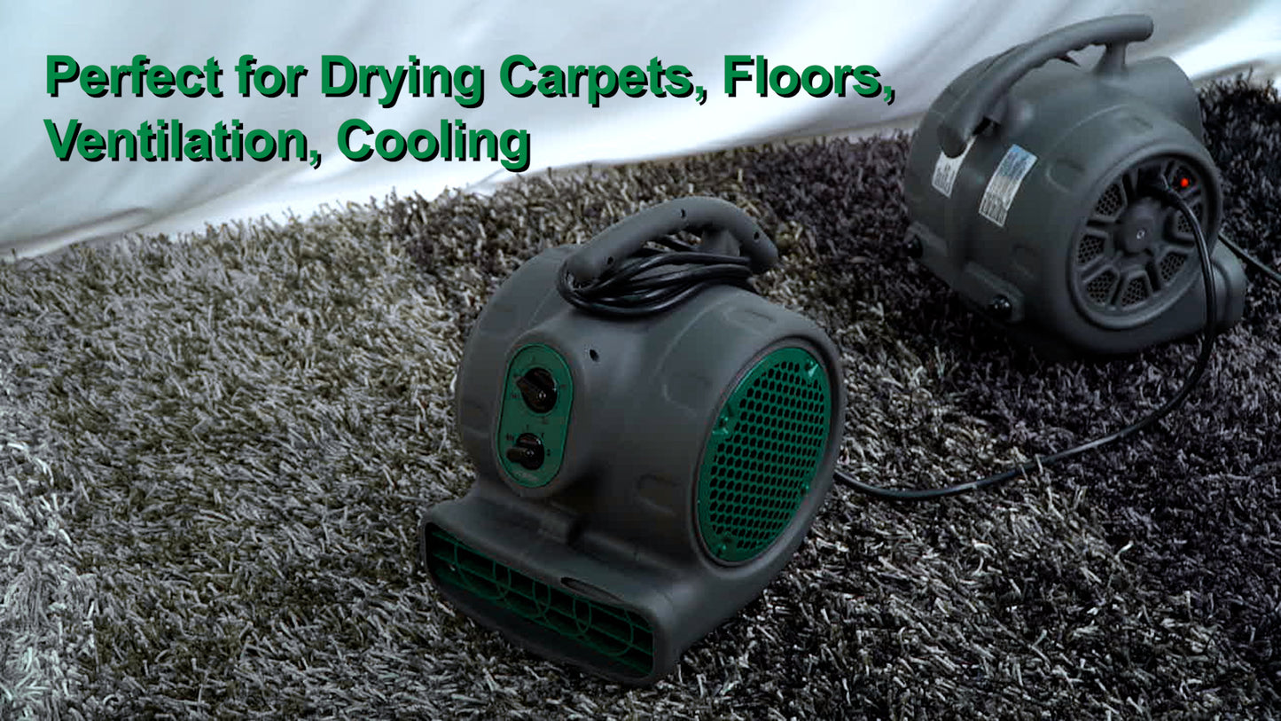 Air Mover - 1/4 HP 950 CFM Carpet Dryer With Timer, 3-Speed, Built-In Power Outlet